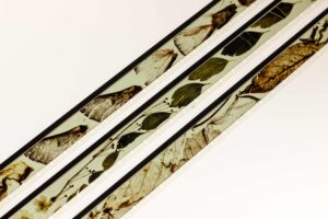 Nagroda dla mgr. Przemysława Murawskiego za najlepszą pracę magisterską